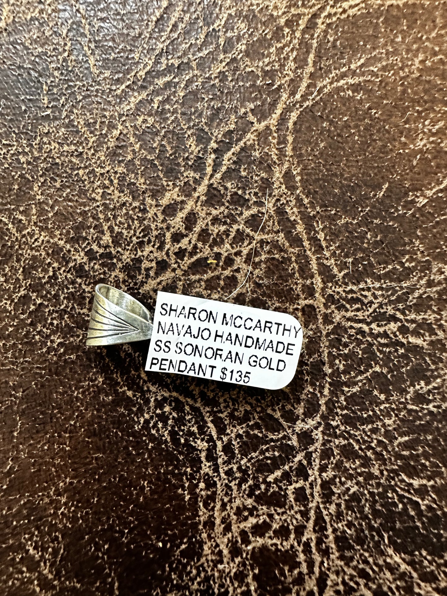 Sonoran Pendent by Sharon McCarthy