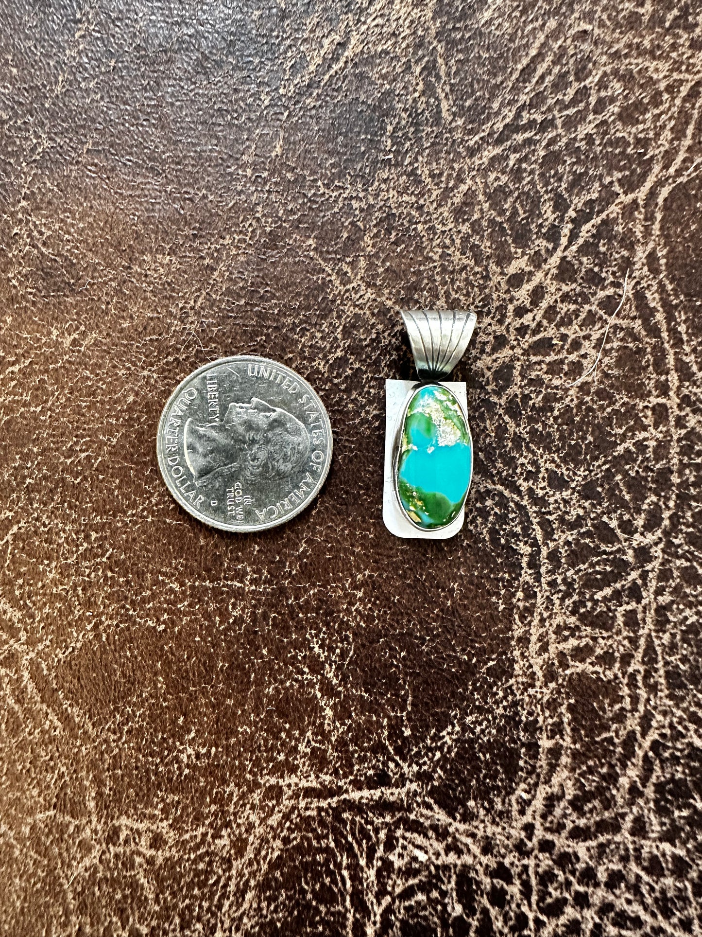 Sonoran Pendent by Sharon McCarthy