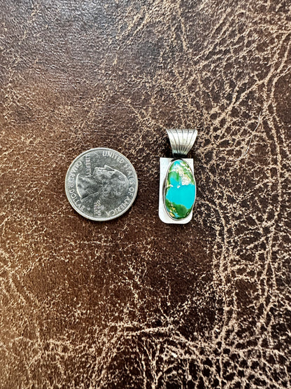 Sonoran Pendent by Sharon McCarthy