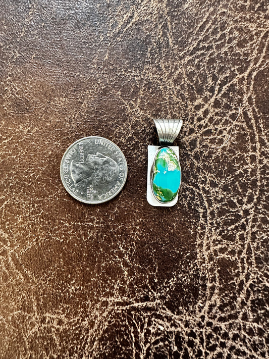 Sonoran Pendent by Sharon McCarthy