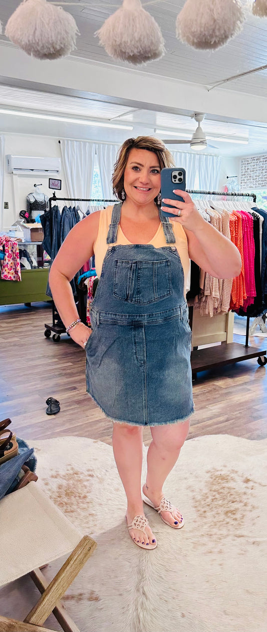 Sonny Denim Overall Dress